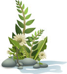 植物矢量素材