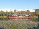 湿地公园