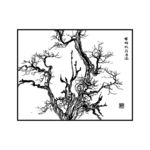 古柏树