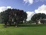 新西兰海滨小镇风景