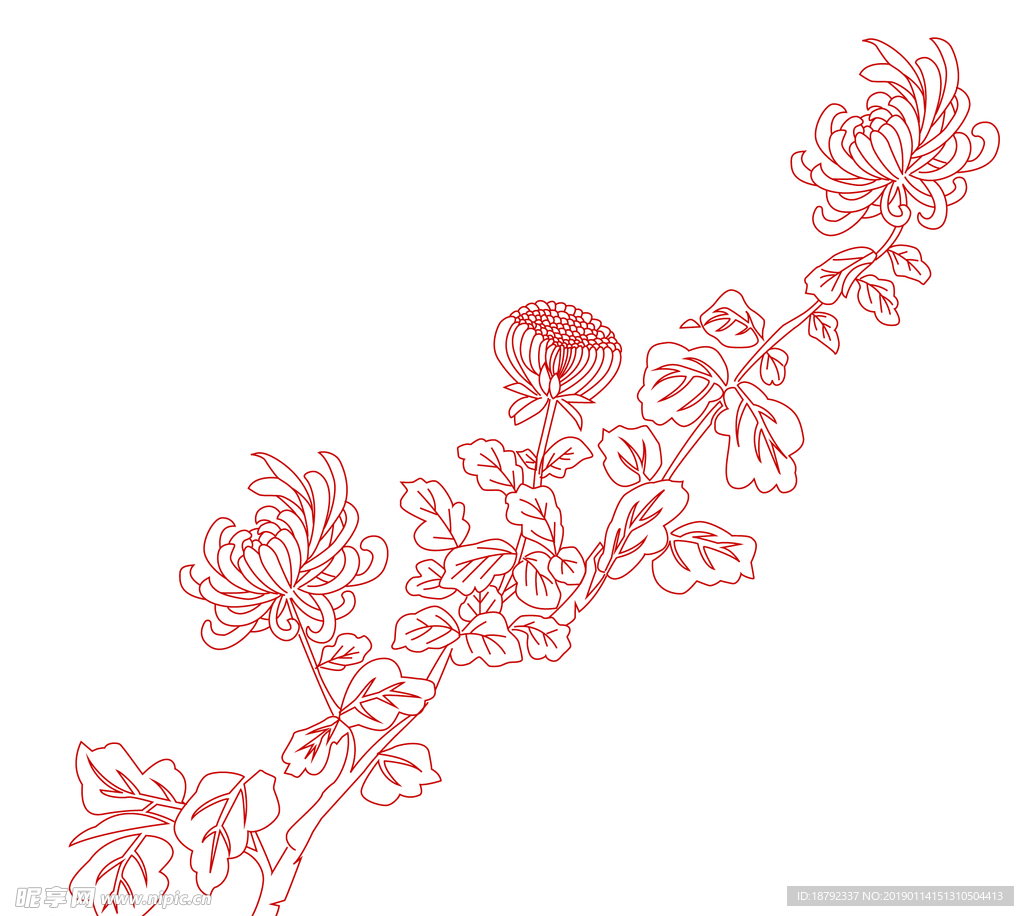 菊花
