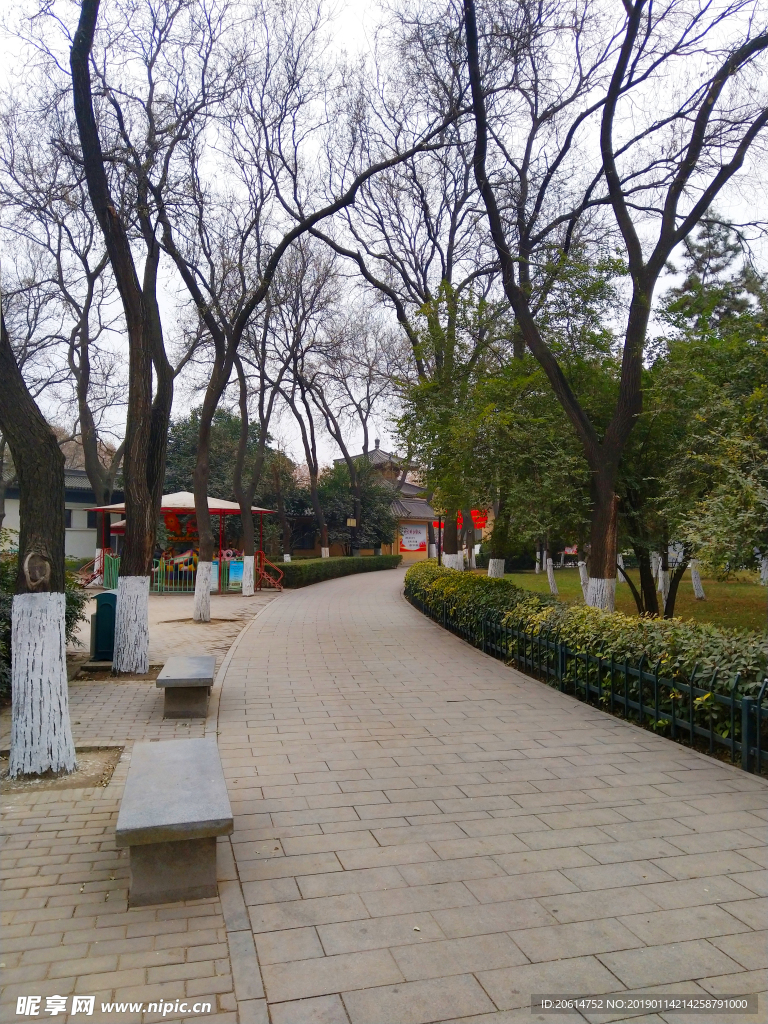 美丽的公园风景