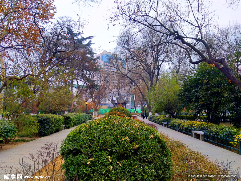 深秋时节的公园风景