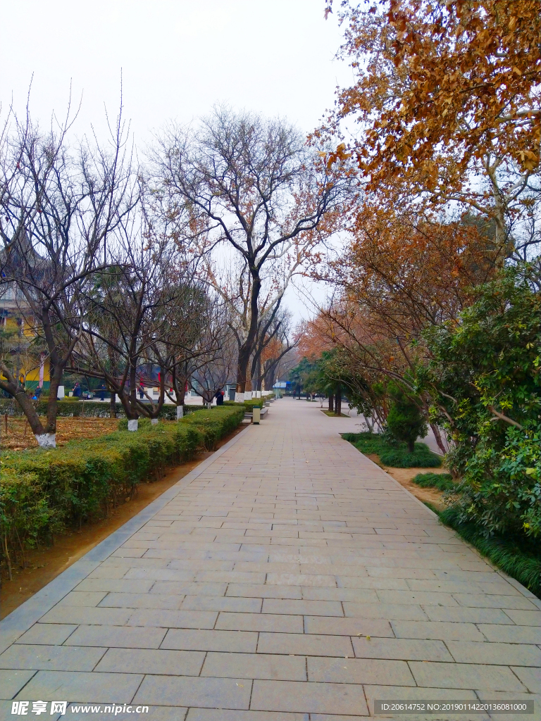 美丽的公园风景