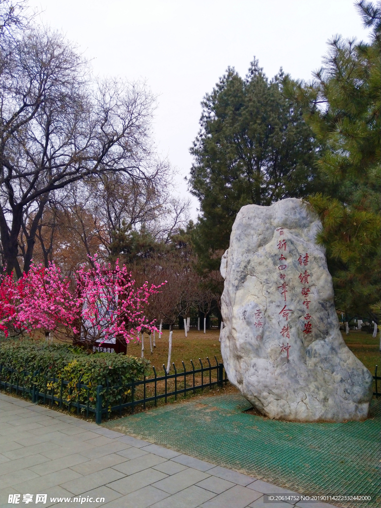 美丽的公园风景