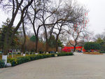 日暮下的公园风景