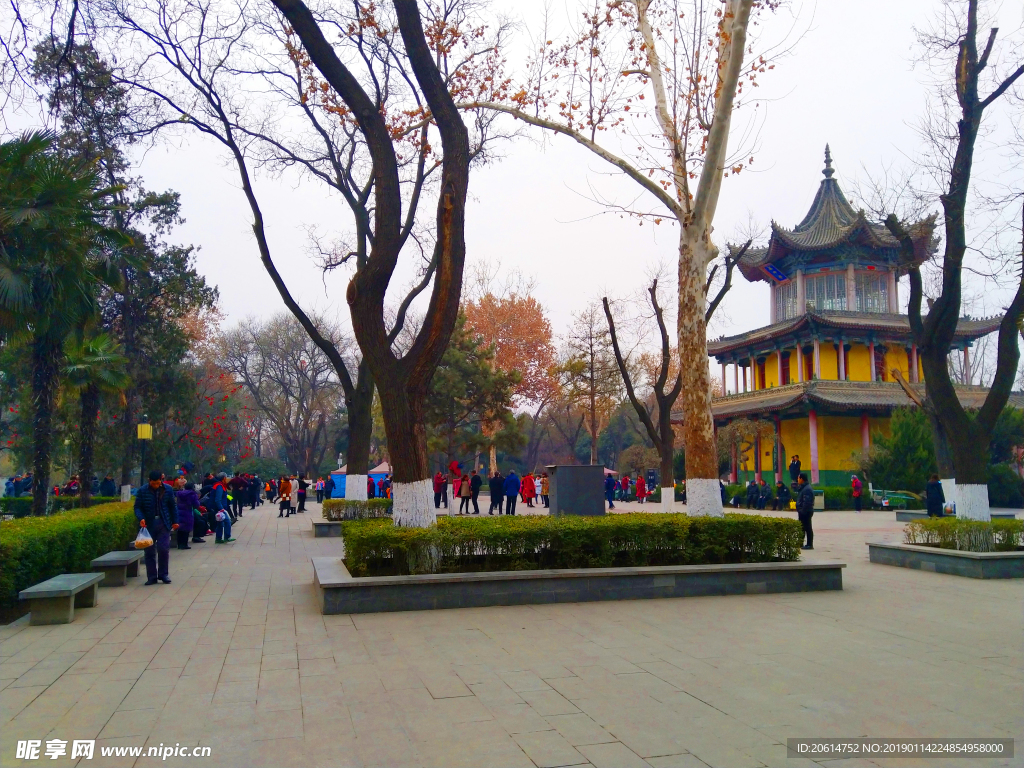 美丽的公园风景