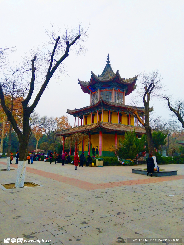 美丽的公园风景