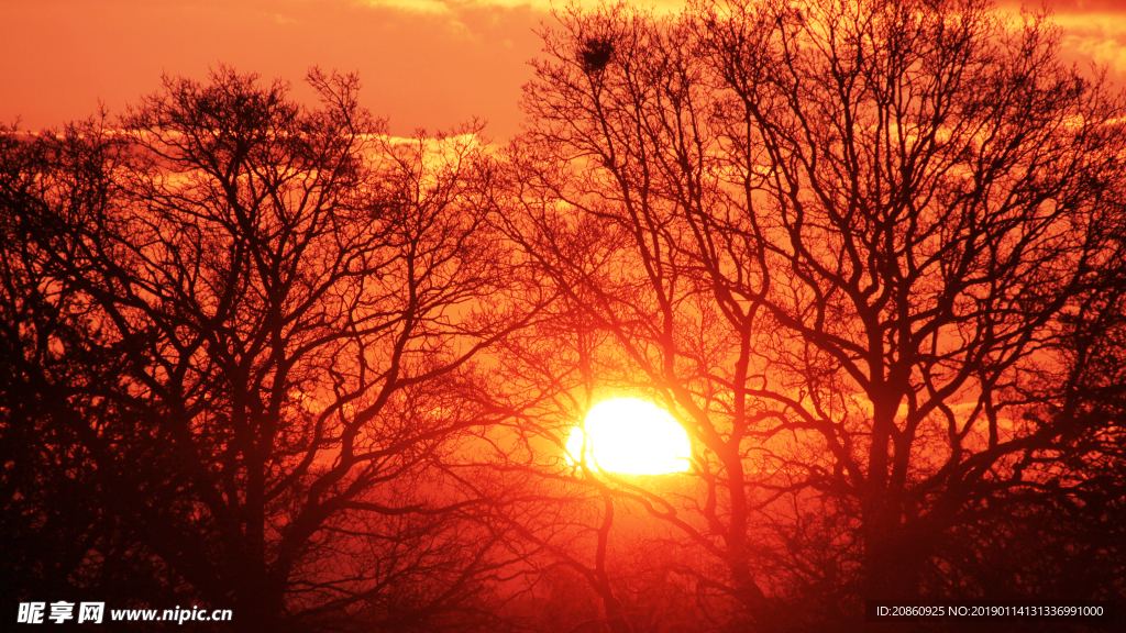 美丽的夕阳景色图片