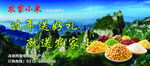 五谷杂粮 小米海报