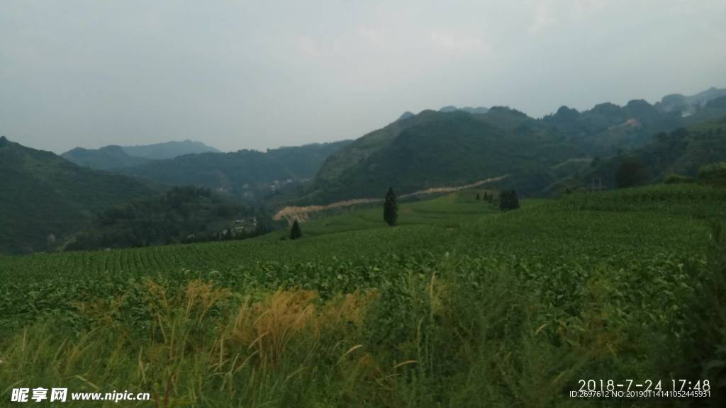 青山 草地 自然 风光