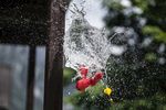 水