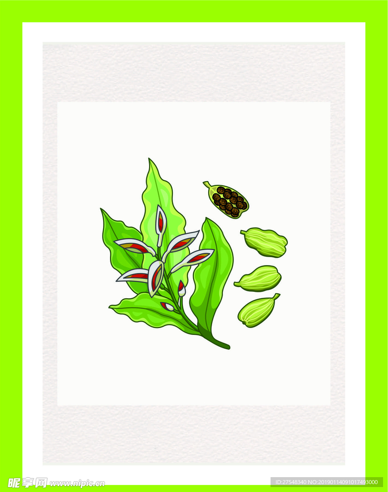 植物配料素材