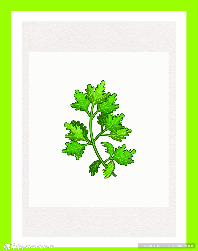 植物配料素材