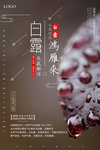 白露节气海报图片