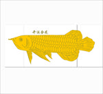 金龙鱼
