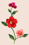 共朵素材