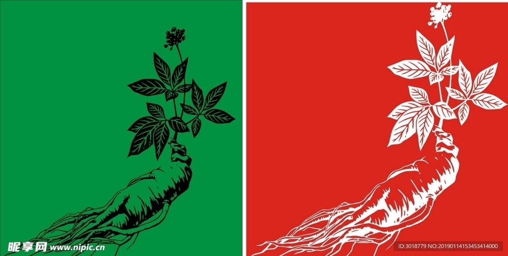 人参