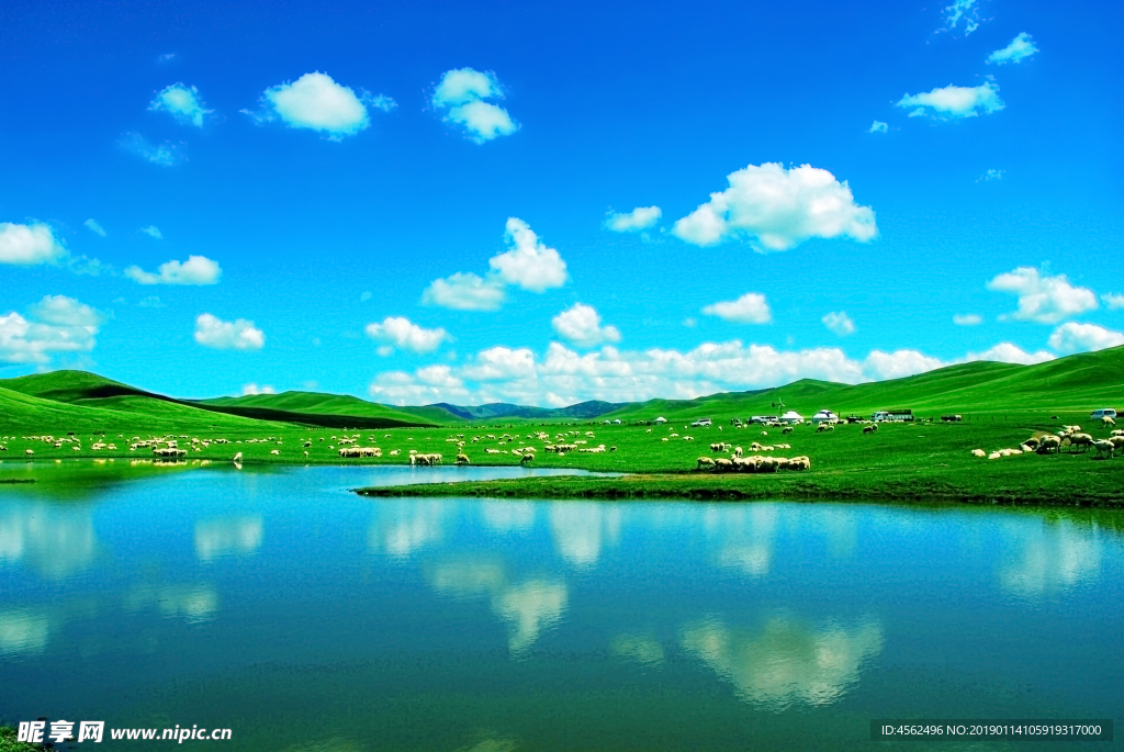 风景