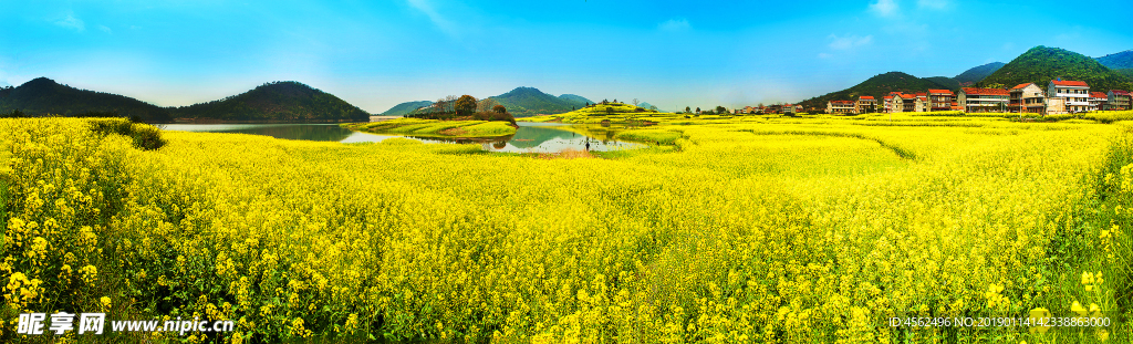 花海