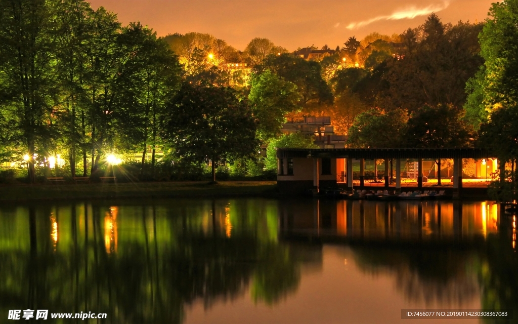 湖畔公园美景夜景风景画