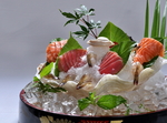 三文鱼
