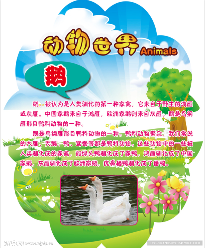 幼儿园展板