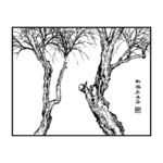 树木