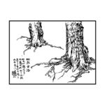 树根