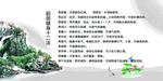 起居健身十二法