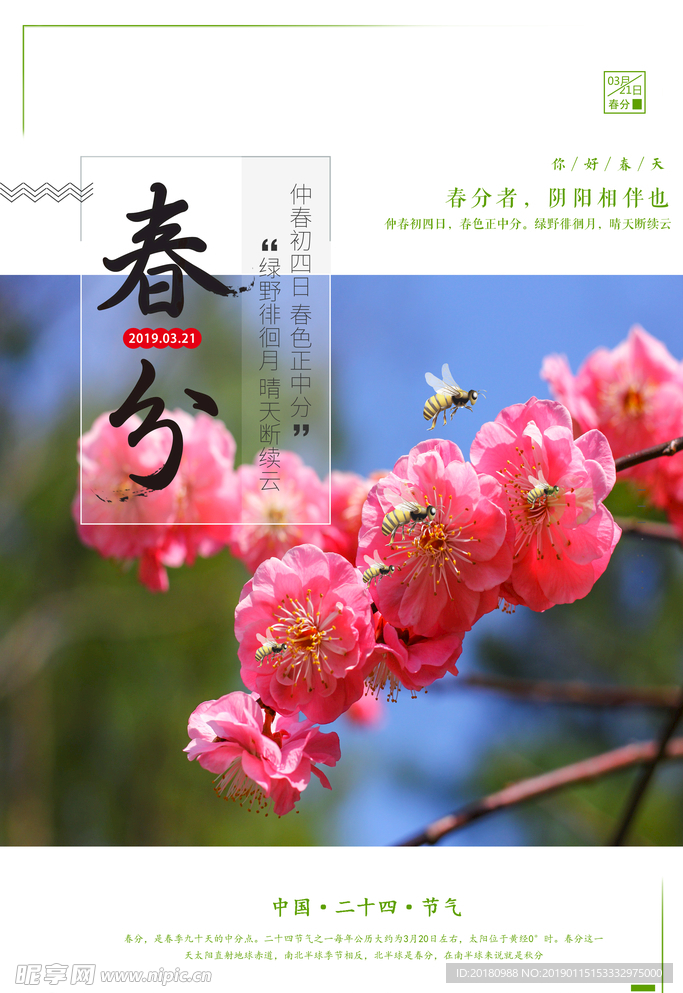 春分海报