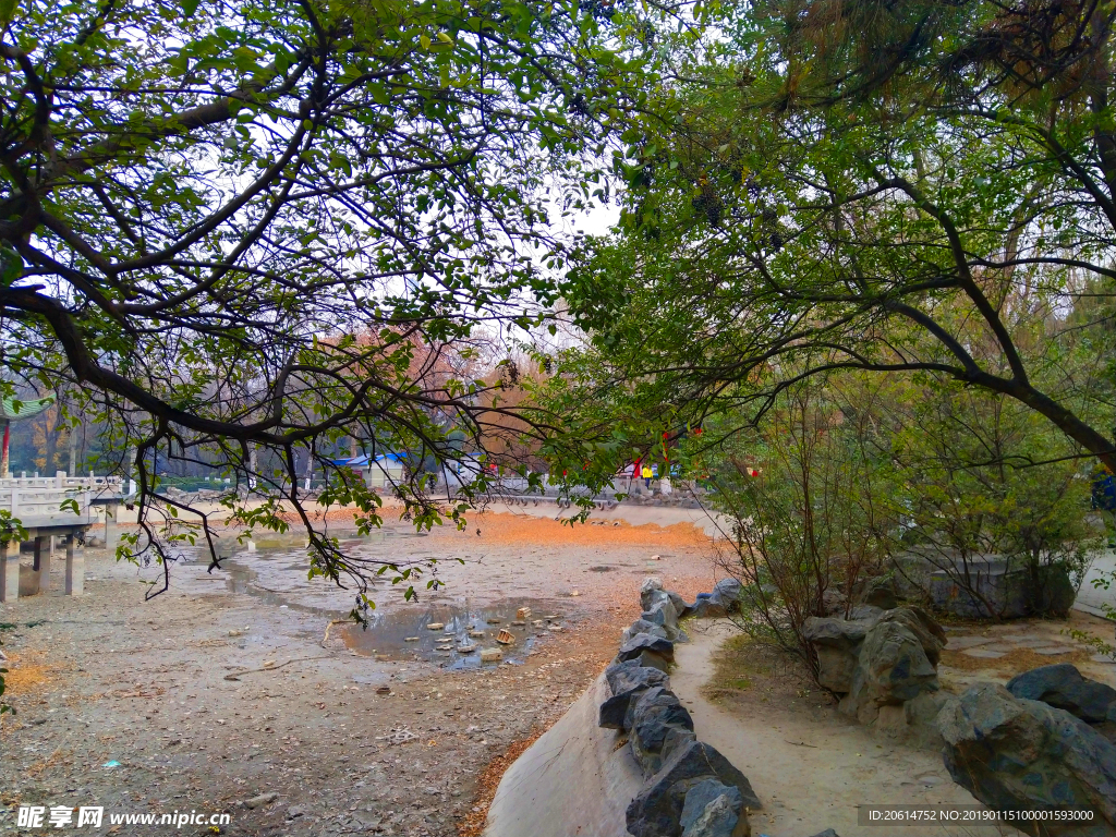 美丽的公园风景