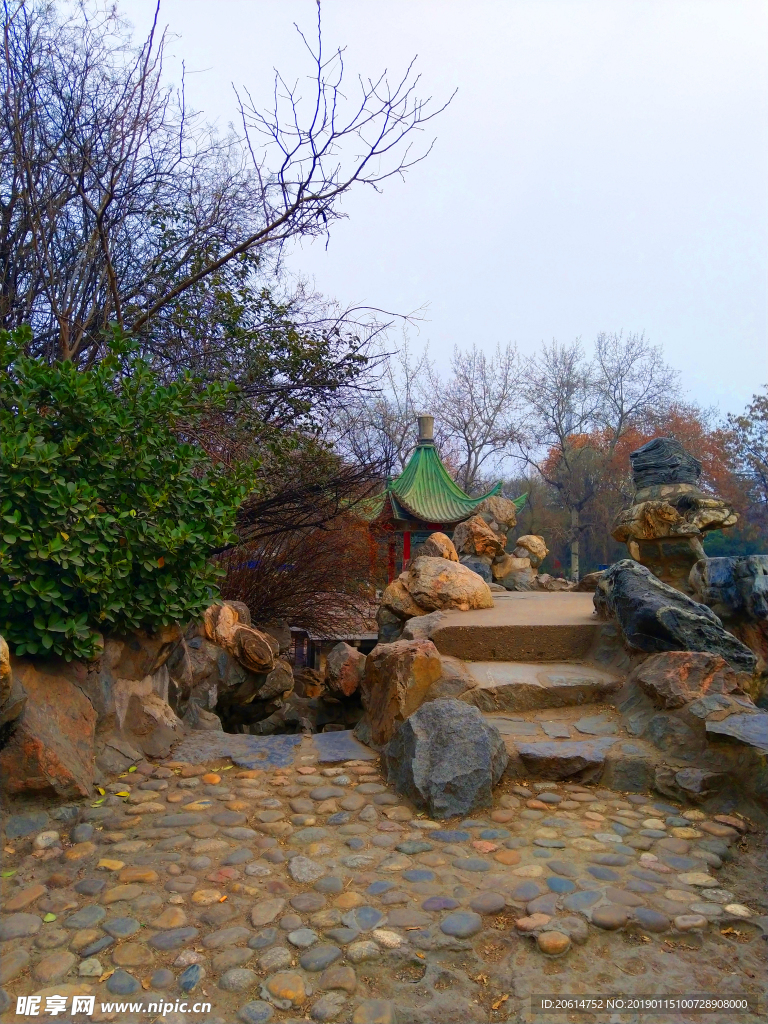 公园假山风景