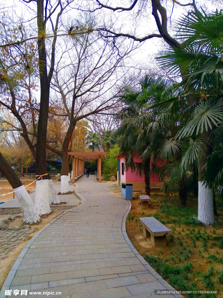 美丽的公园风景