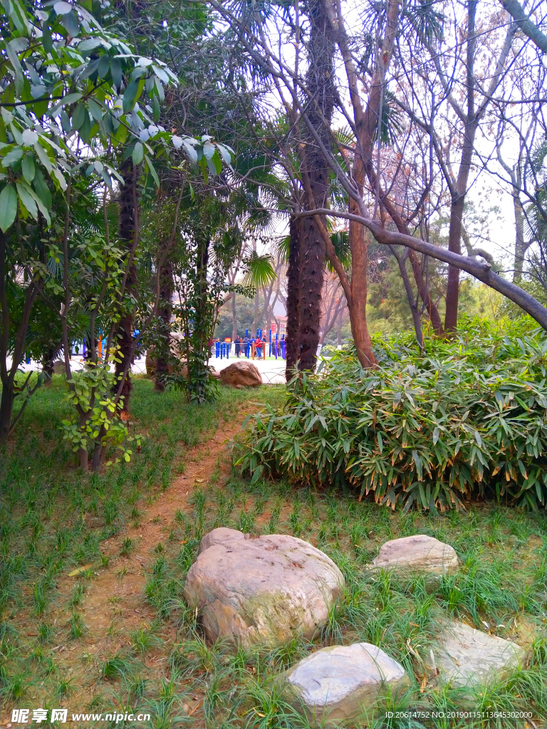 美丽的公园风景