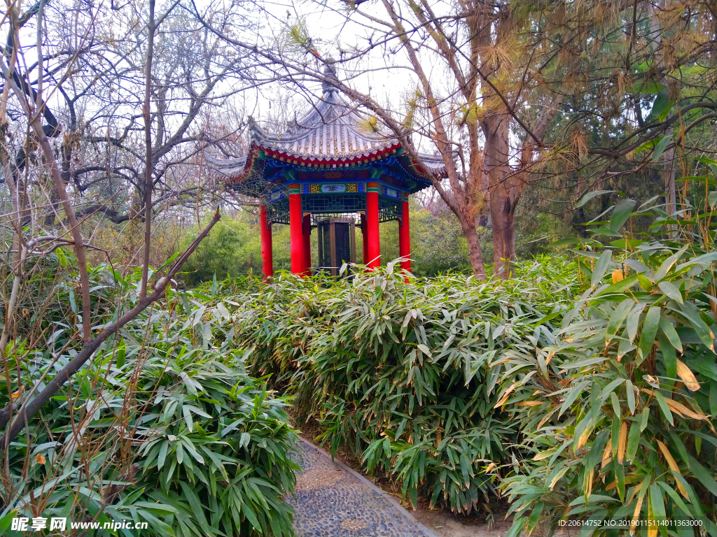 美丽的公园风景
