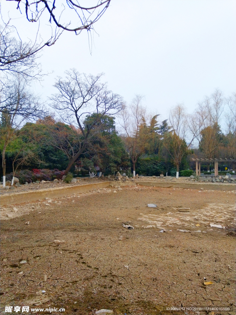 深秋时节的公园风景