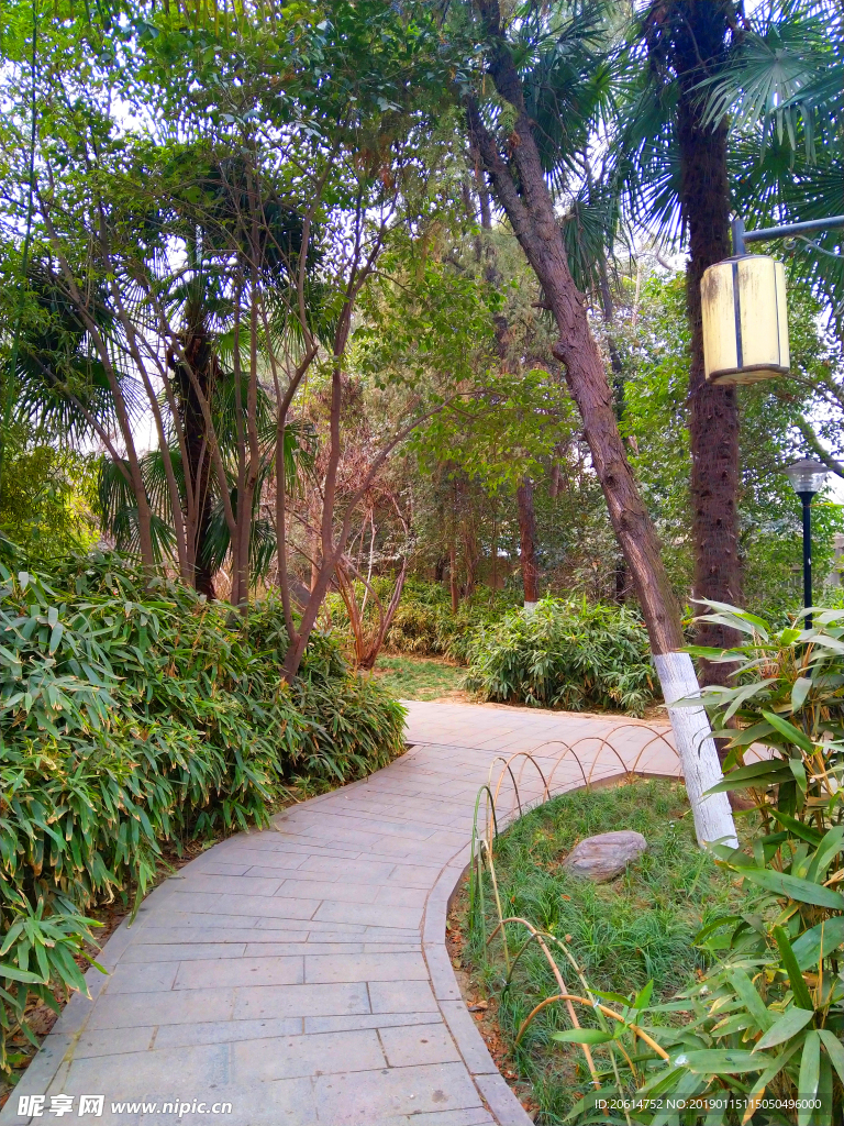 美丽的公园风景