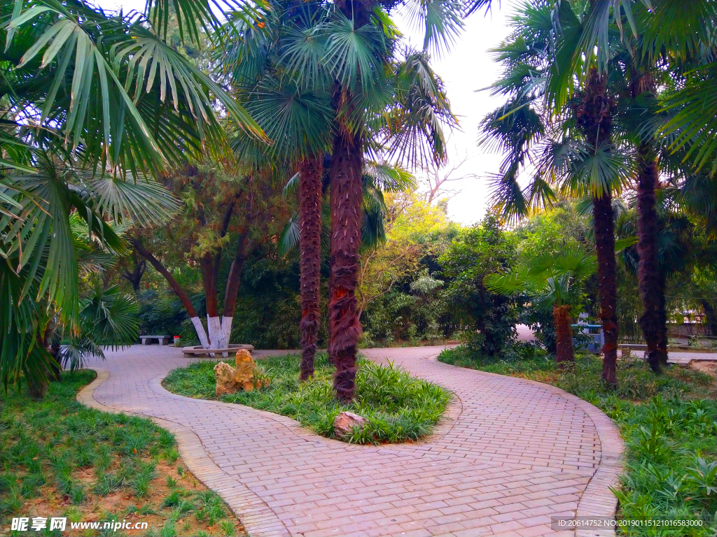 美丽的公园风景