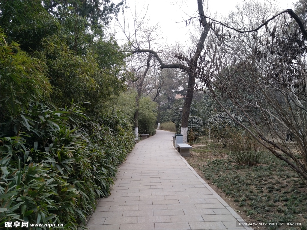 美丽的公园风景