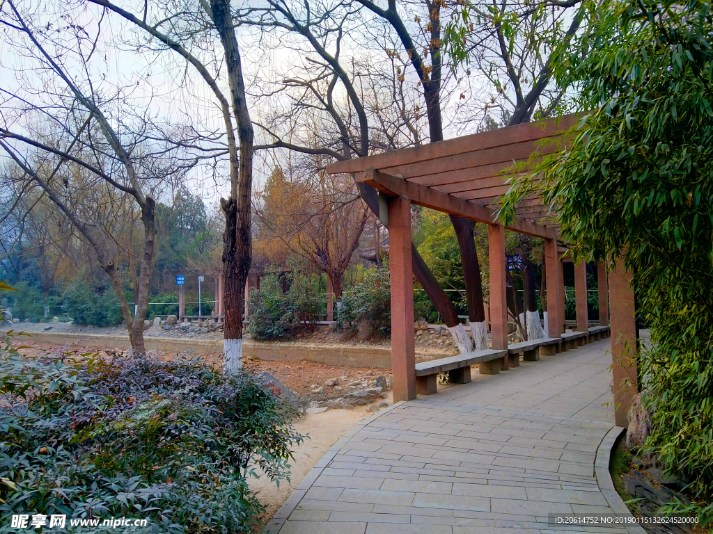 美丽的公园风景