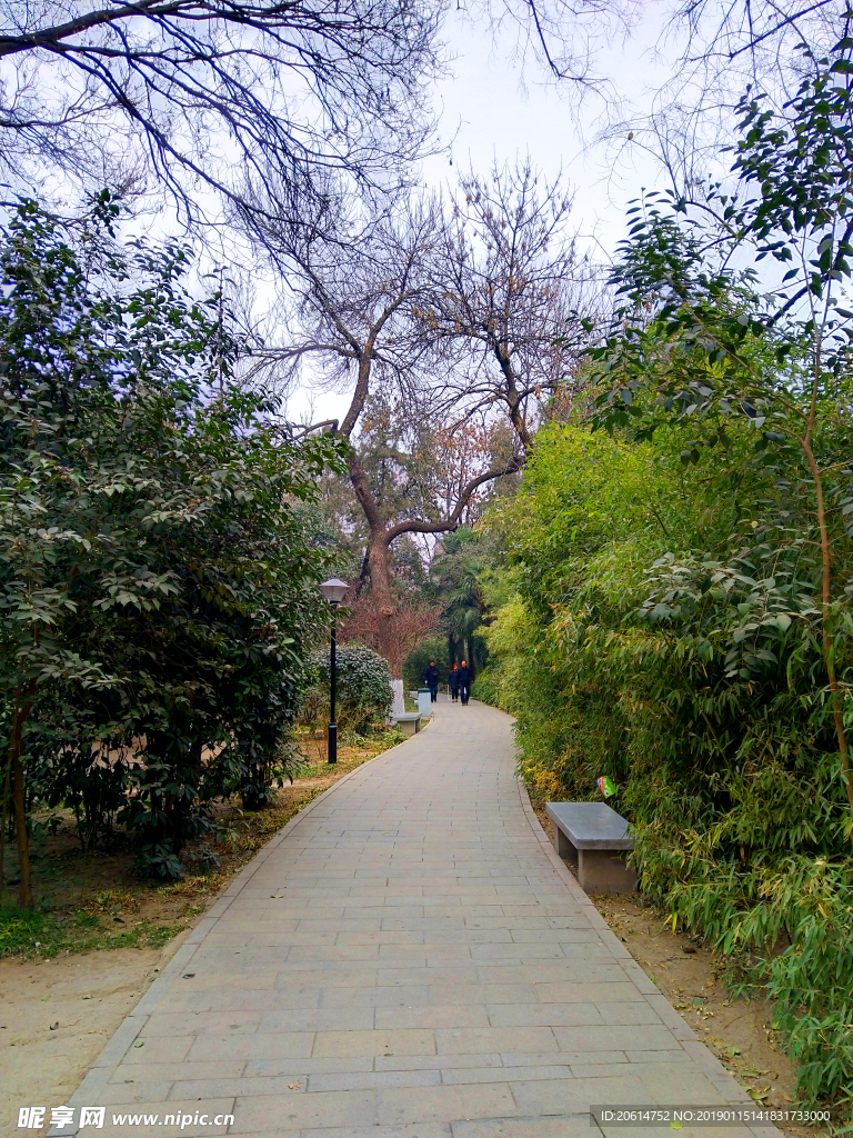 美丽的公园风景