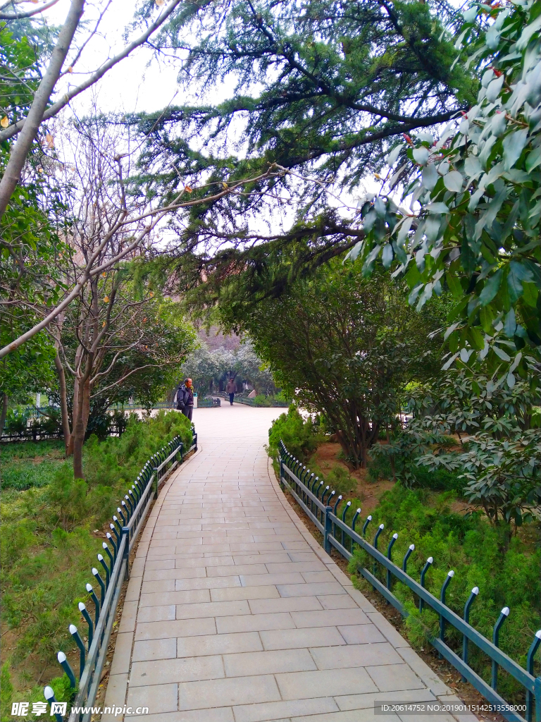 美丽的公园风景