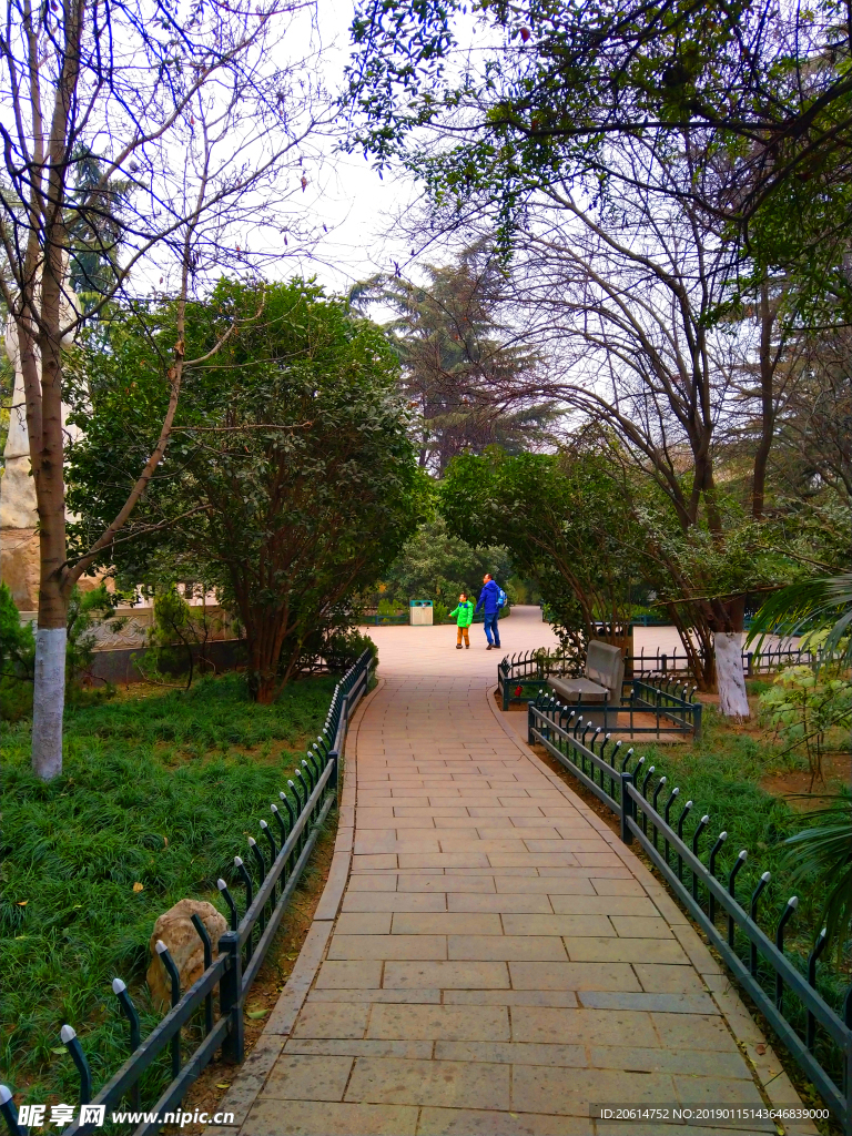 美丽的公园风景