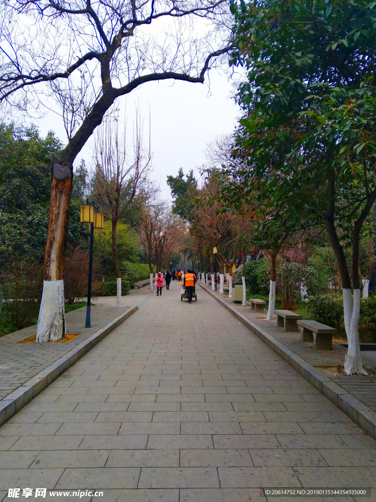 美丽的公园风景