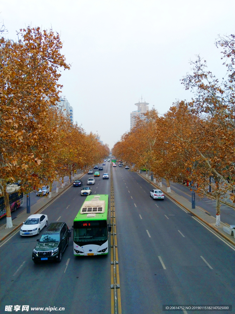 城市道路风景