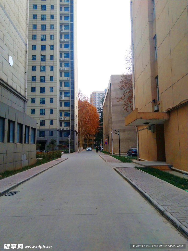 城市道路风景