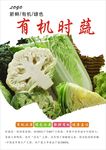时蔬海报