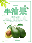牛油果水果海报图片