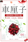 车厘子海报